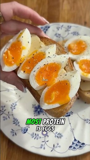Highest Protein Foods You Should Know About