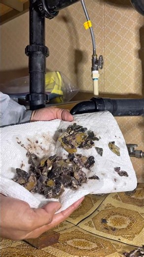 🚨🥑 Clogged Sink From Avocado Peels