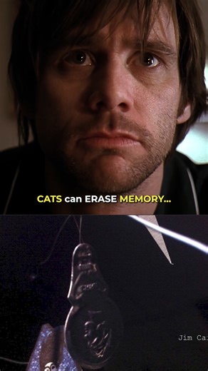 3.3K views · 22 reactions | Cats can erase memories! In Eternal Sunshine of The Spotless Mind, the memory erasing machine sound is actually an amplified recording of a cat purring. #eternalsunshineofthespotlessmind #cats #memoryerasing #purring #movietrivia #filmfacts #behindthescenes #movieeastereggs #cinemamagic #funfact #sounddesign #catpurr #visualstorytelling #michelgondry #moviebuff #onsetmagic #hiddendetails #indiefilmclassic #soundeffects | 1pixelmedia | Facebook