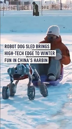 Robot dog sled brings high-tech edge to winter fun in China's Harbin