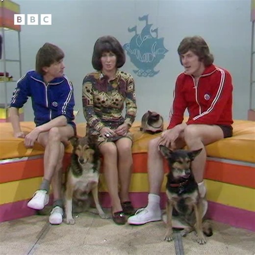 BBC Archive on Instagram: "1971: John Noakes and the rugby scrum machine. As the Six Nations begins, we look back to 1971 when Blue Peter celebrated 100 years of rugby union by explaining the technicalities of the rugby scrum. After John Noakes had demonstrated using his fingers as players, he then joined fellow presenter Peter Purves in trying out a scrum training machine under the watchful eye of a terrifying sergeant major. Clip taken from Blue Peter, originally broadcast on BBC One, 29 March