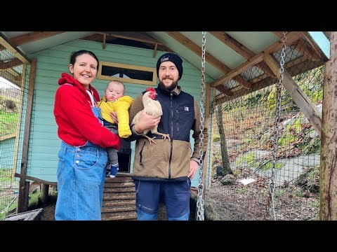 Winter Homesteading in Portugal - New Trees, Seeds & Hens!