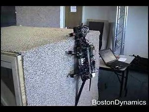 Boston Dynamics RiSE Robot