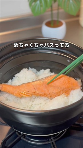レンジで1分で焼き鮭ができるなんて革命すぎる🥹✨ 忙しい日にほんと助かる🙇‍♀️ 今なら半額だから左下からチェックしてね！！ #tiktokshop #pr