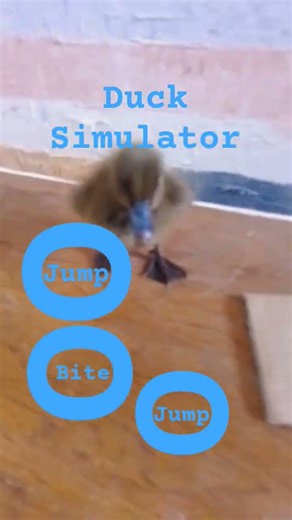 Duck Simulator #games #gameplay #gaming