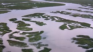 Cocodrilo 2 El Ataque Final 2002 (Crocodile 2 Death Swamp)