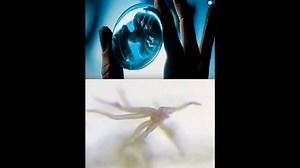 Alien Covenant and Prometheus Vaccine Squids Decode