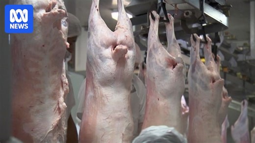 Abattoir Bottleneck: Competition for kill space at abattoirs