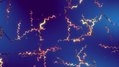 Relapsing fever : 8 vidéos de stock – Clips vidéo 4K et HD | Shutterstock