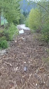 too scary about the speed of flash floods #nobigame | Daniel P. Finney Paragraph Stacker