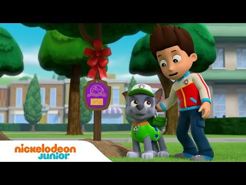Paw Patrol : La Pat' Patrouille | Les sauvetages de la Pat' Patrouille et d'Alex | Nick Jr.