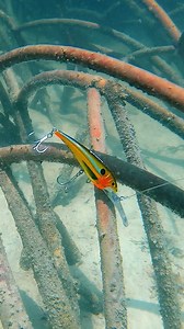 33K views · 355 reactions | DTX85-120  Featuring the Patented Nomad Autotune™ System and Hydrospeed advanced design technology - the DTX Minnow is in a class of its own. The DTX Minnow 85mm features a wider body and different lip design to enable more body action at slower speeds and increased snag resistance, to allow casting and trolling through structure. #NomadDesign #CraftedByExperience #fishing #lurefishing #dtx85 | Nomad Design Australia | Facebook