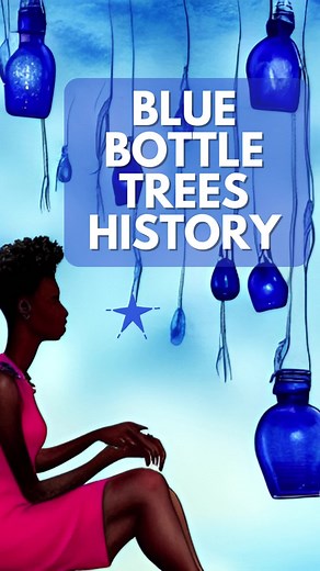 Blue Bottle Tree - African American History - The bottle tree folklore first appeared in the Congo in the ninth century. To fend off evil spirits, blue bottles were placed upside down on trees and huts. In order to catch any traveling spirits, bottles were often hung to trees close to significant areas like as meeting places or crossroads. The Congo tree altar is also a custom of paying respect to departed family members with cemetery memorials. Family members will place bottles around the cemet