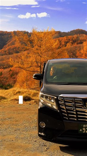 Is autumn the best time to visit Japan? 🍁 Cruising through the mountains of Nagano, surrounded by fiery maples and golden ginkgo trees. The Japanese call it “kōyō” (紅葉) — a centuries-old tradition of admiring autumn leaves, when nature slows down and every turn feels like a painting. Book your autumn drive with Elite Driver Japan and see Japan at its most beautiful. 🚐✨ #EliteDriverJapan #AutumnInJapan #Momiji #Nagano #JapanTravel #ScenicDrives #autumn #紅葉 #紅葉スポット #Nagano | Elite Driver Japan