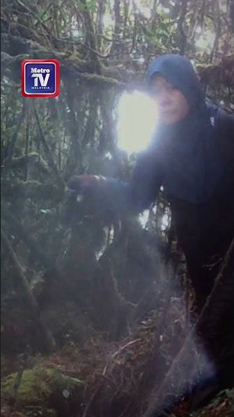 Kelibat Jaslinda pada 24 Mei lalu dikesan melalui kamera pengawasan di Gunung Batu Putih
