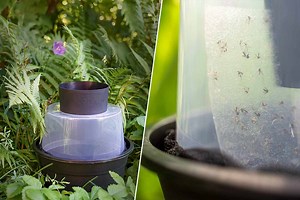 Biogents dévoile un nouveau piège à moustique « imparable » qui imite une présence humaine