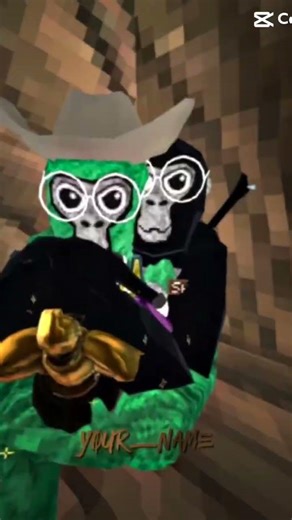#gorillatag #gf #edit #vr