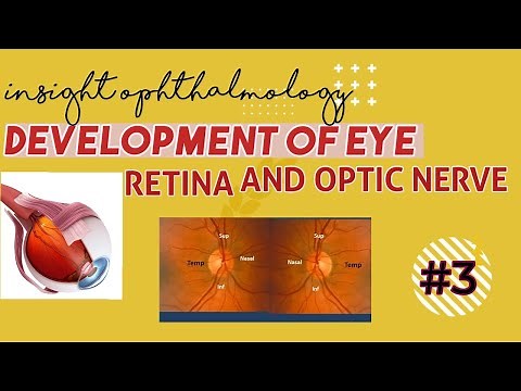 EMBRYOLOGY OF EYE || retina and optic nerve development