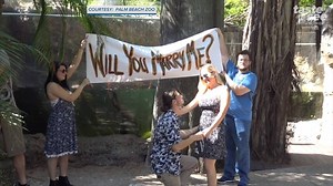 Palm Beach Zoo just sent over this video! Andrew Walker and Jamie Young went on their first date at the Zoo four years ago are now officially engaged. | WPTV