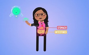 英文儿童科普视频 Crash Course Kids