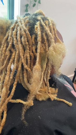 THE RAW PROCESS OF COMBING MY TRADITIONAL LOCS OUT TO INSTALL MICROLOCS.. EVERY PIECES OF HAIR I LOSS I KEPT!! I shampooed it and put up.. #microlocsinstallation #microlocsjourney #microlocs #fypシ #fypシ゚viral