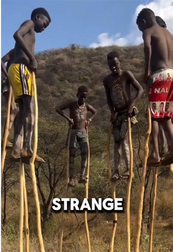 African Tribe Walking On Giant Wooden Stilts Some tribes teach people to walk on tall wooden stilts carved from tree trunks. Even kids start learning young, balancing several feet above the ground as part of cultural traditions. #tribe #africa #culture #stiltwalking #coolclips