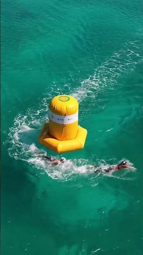 Open Water Swimming, but from above ⬆️ #openwaterswimming #drone #sea #nature #fromabove