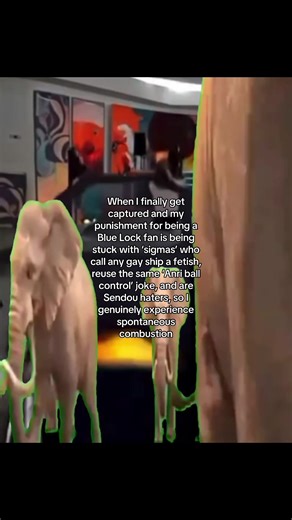 Experiencing Blue Lock Fan Culture and Ship Battles