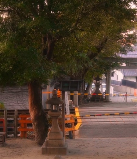 神秘的な日本の神社風景