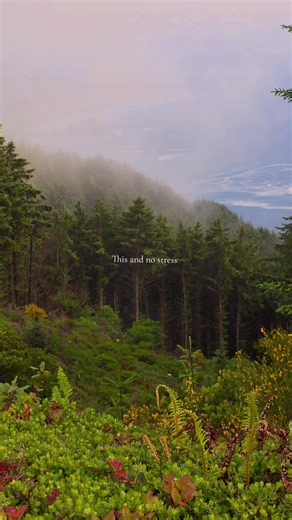 Just a walk in Oregon.. #mountain #ocean #exploring #travel #oregoncoast