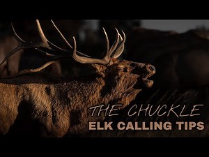 THE CHUCKLE | Elk Calling Tips