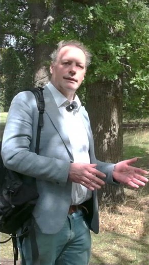 Why Skills Don’t Drive Engagement (Energy Does)