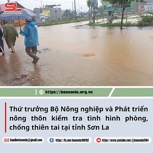 Ngày 10/9, đồng chí Nguyễn Quốc Trị, Thứ trưởng Bộ Nông nghiệp và Phát triển nông thôn cùng Đoàn công tác đến kiểm tra tình hình phòng, chống thiên tai tại tỉnh Sơn La. https://baosonla.org.vn/thoi-su-chinh-tri/thu-truong-bo-nong-nghiep-va-phat-trien-nong-thon-kiem-tra-tinh-hinh-phong-chong-thien-tai-tai-tinh-son-la-nna5zAeIg.html | Báo Sơn La