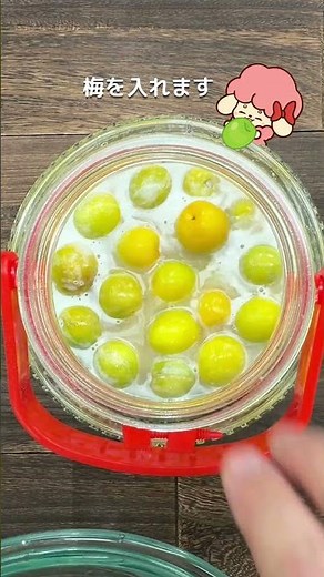希望の命水で作るミネラルたっぷり梅酵素ジュース