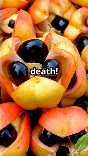 This Fruit Is So Toxic, It’s Illegal! 🍒 #ScienceFacts