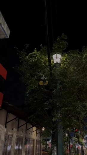 Exploring Emotional Expressions in Pashto Poetry