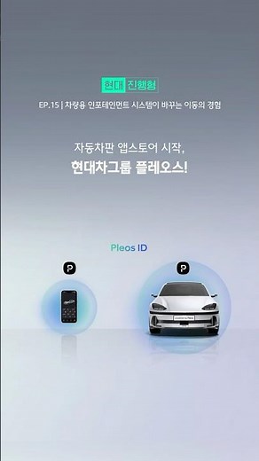 자동차판 앱스토어 시작, 현대차그룹 플레오스
