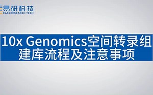 10x Genomics 空间转录组建库流程及注意事项