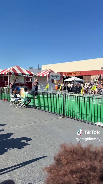 Highlights from the Texas State Fair: Pig Races Fun