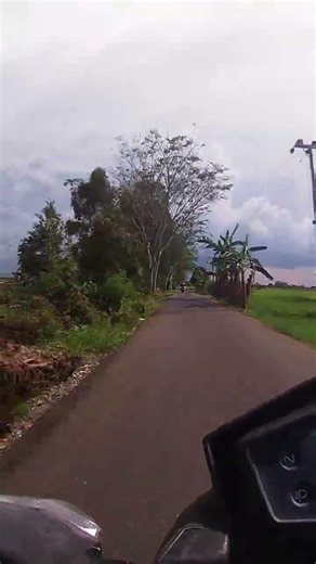 suasana perkampungan di kalimantan || south borneo