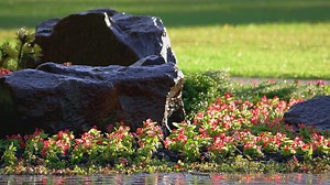 Rock Gardens