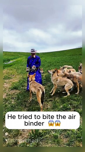 Spiritwolf sur TikTok