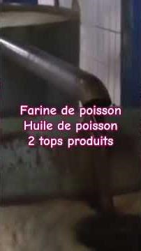 Process the fish to obtain fishmeal and fish oil