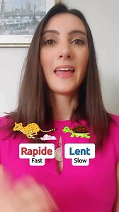 Les antonymes en français | Bonjour M