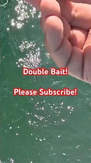 Rigging Sheephead Jig #fishing #saltwaterfix #saltwaterfishing #fish #viralvideo