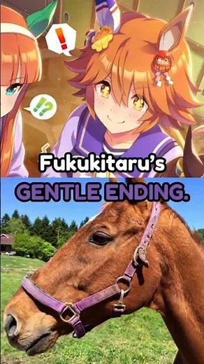 Matikanefukukitaru, the horse that lived a GENTLE life #umamusume