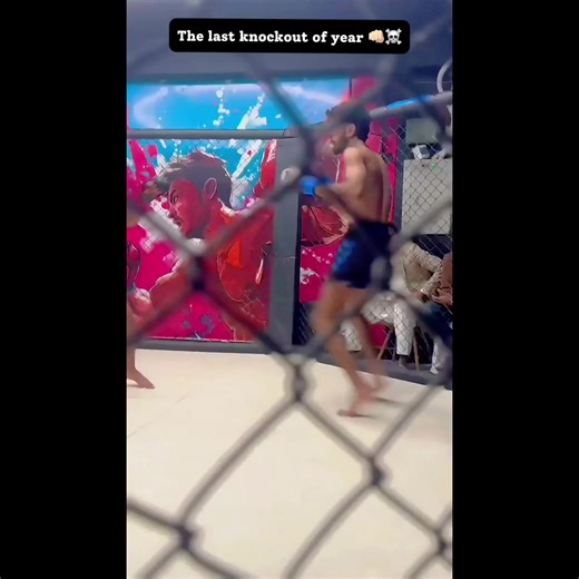 Final Knockout Highlights: MMA and UFC Action of 2023