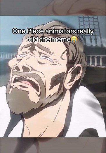 One Piece Animation Memes that Make Us Laugh