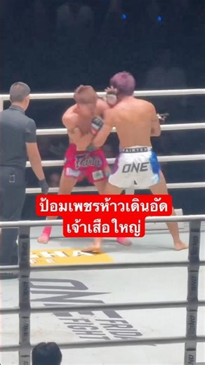 Pompetch Haow takes on the big tiger in a fierce battle. #Highlights #MuayThai