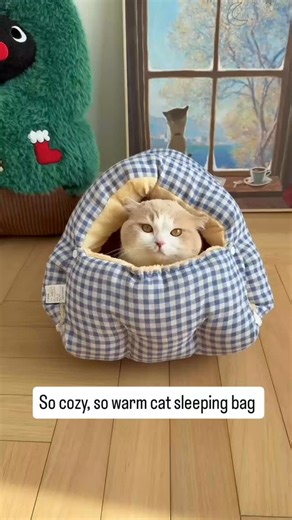 catsday on Instagram: "This cat’s forest-themed little nest is way too tempting 🌲🐾 So cozy, so warm… I almost want to steal it 😭💚 Perfect for chilly days and ultimate healing vibes. #CatHouse #catmom #CatLove #catlover❤️"